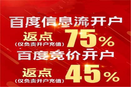 百度竞价广告与自然搜索排名的结合策略案例